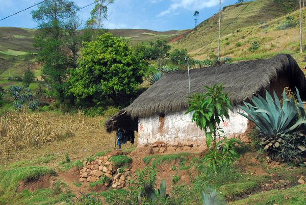 Thatched hut, Peru