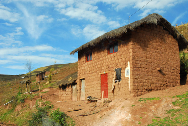Thatched mud brick house
