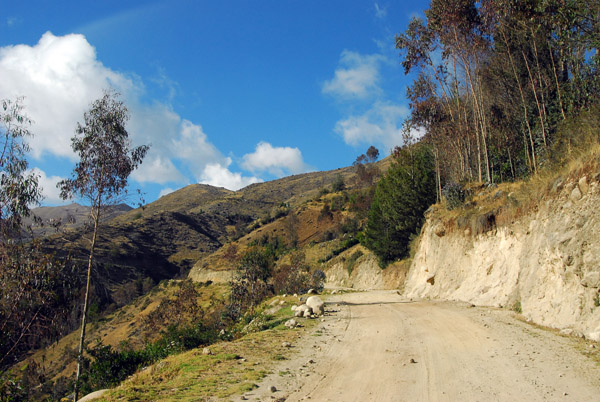 The low road to Huancarama
