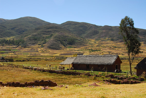 Thatched house around Ccorao, Peru