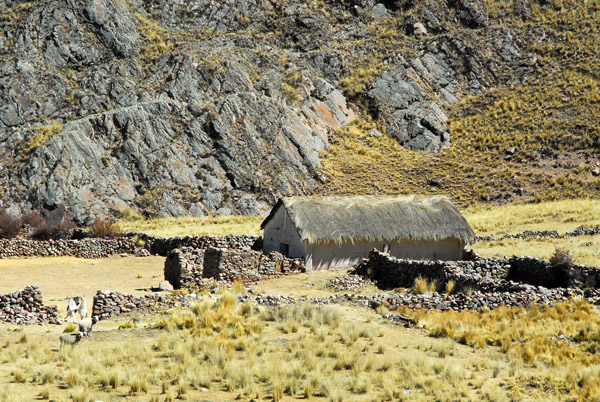 Thatched farmhouse, Puno Region