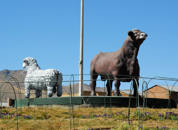 Cattle and sheep country, Ayaviri