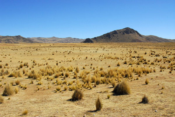 Andean High Plain - Altiplano, Peru