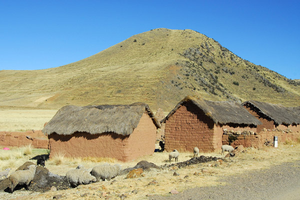 Thatched adobe huts