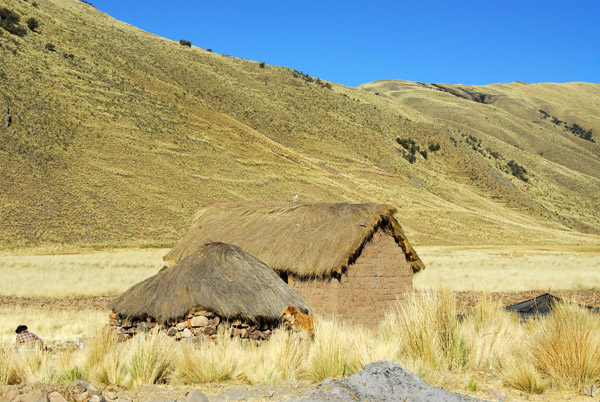 Thatched adobe huts