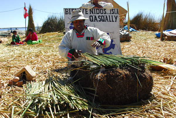 Blocks are cut from the roots of the totora plant then fresh reeds are layered on top