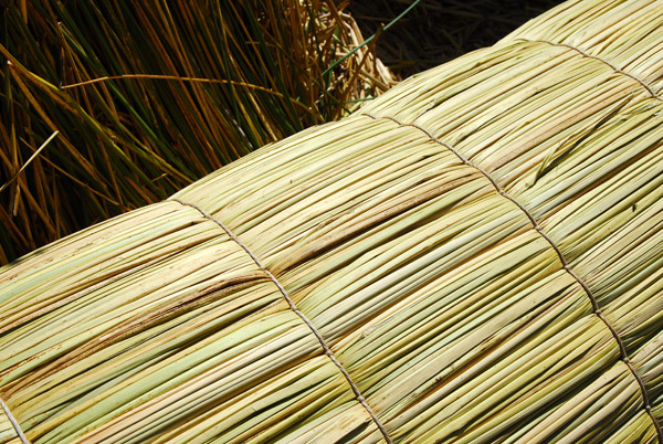 Close up of a bundle of reeds of a reed boat