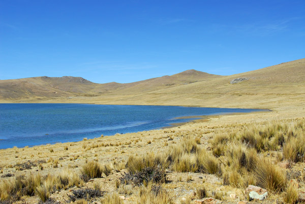 Small lake in the high Andes (14,450ft)