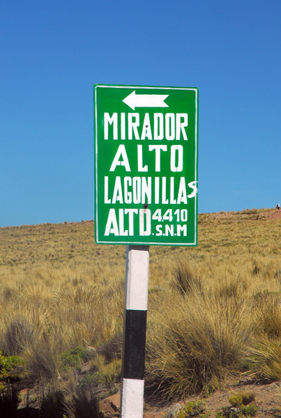 Mirador Laguna Lagunillas - 4410m