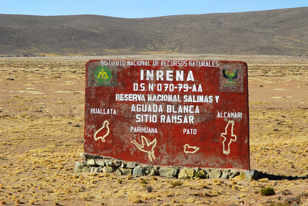 Reserva Nacional Salinas y Aguada Blanca, Peru
