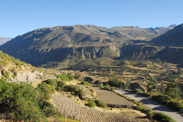 Terraced fields, Colca Valley
