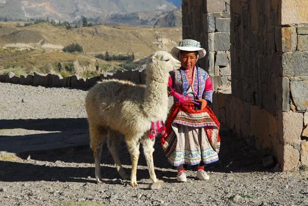 Young girl in a colorful costume posing with a baby alpaca