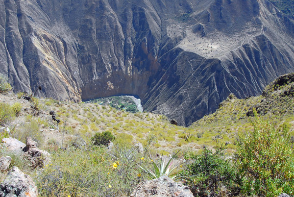 Switchback trail leading up the north side of Colca Cayon
