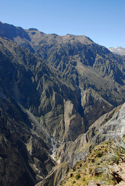 Colca Canyon from Cruz del Condor