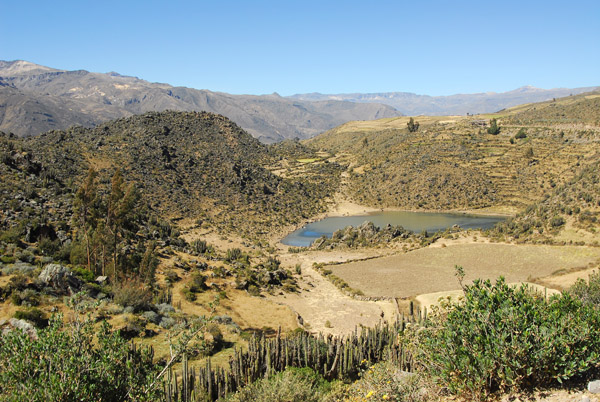 Small lake, south rim road, Colca Canyon