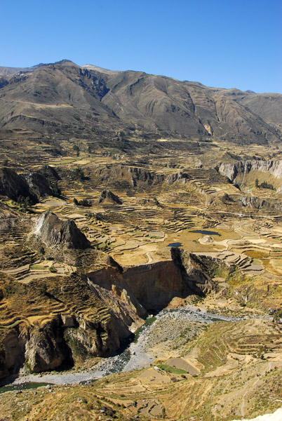 Terraced fields, Colca Canyon
