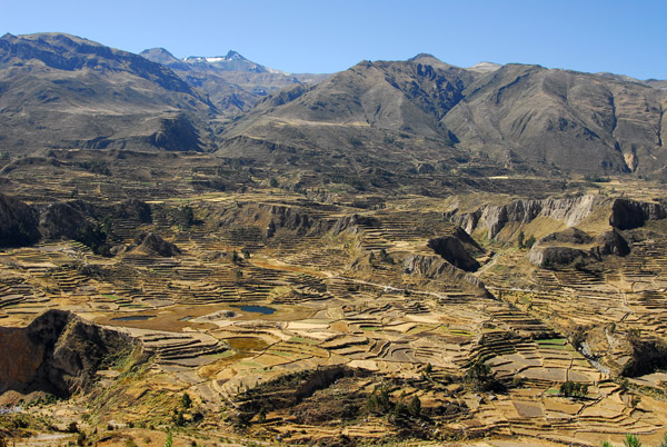 Incan and pre-Incan terraces, Valle del Colca