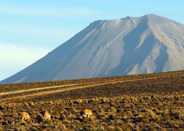 Volcan Misti (5825m)