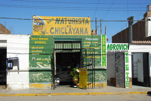 Casa Naturista Chiclayana, Nazca