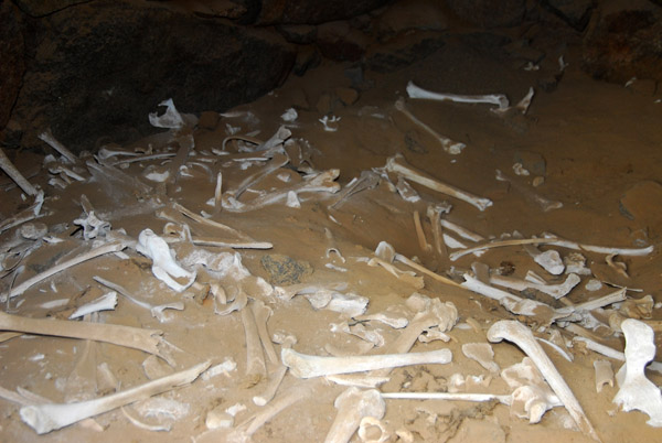 Scattered human remains centuries old, Puerto Inca