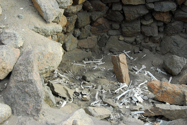 More human remains, Puerto Inca