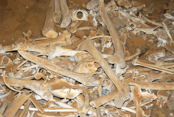 Human remains inside a tomb, Puerto Inka