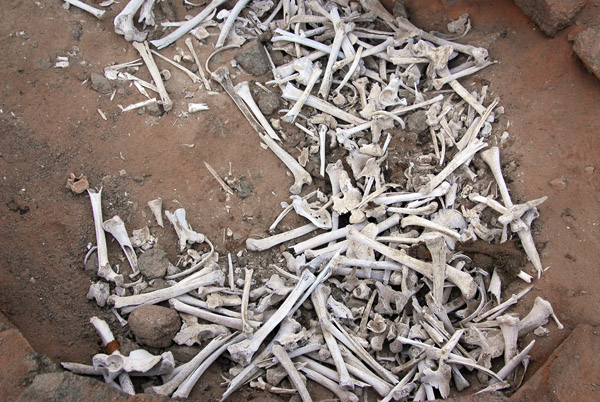 Remains of the former residents of Puerto Inka