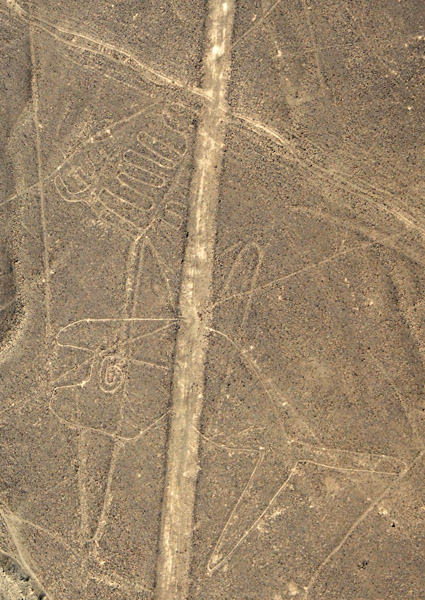 Whale, Nazca Lines