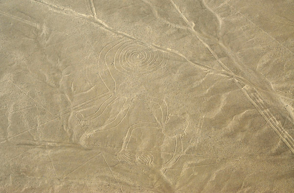 The Monkey - Nazca Lines