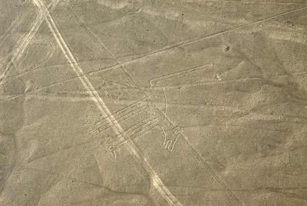 The Dog - Nazca Lines