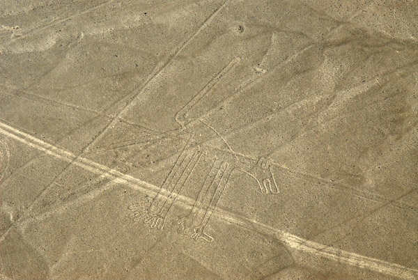 A dirt road cuts across the legs of The Dog figure damaging the Nazca Lines