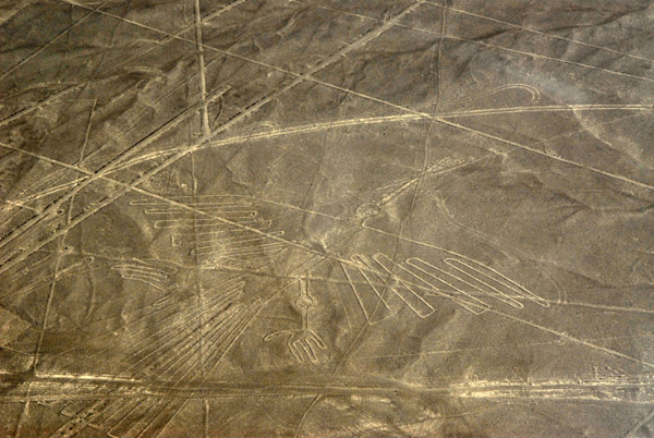The Condor - Nazca Lines