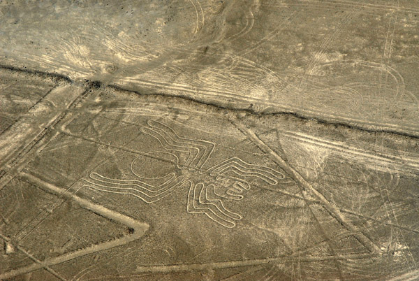 The Spider - Nazca Lines