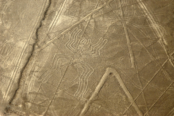 The Spider - Nazca Lines