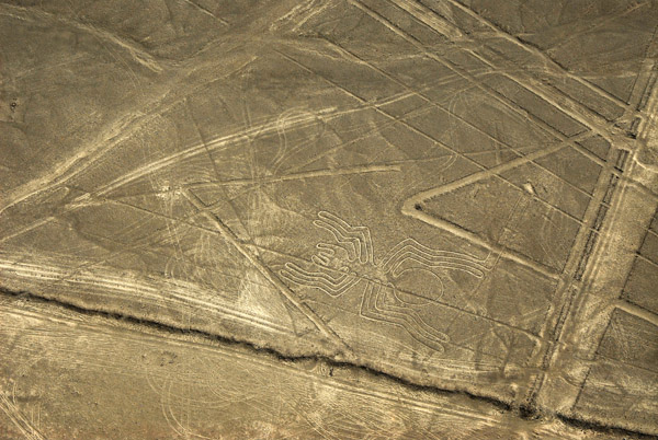 The Spider - Nazca Lines