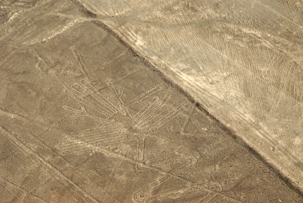 The Heron - Nazca Lines