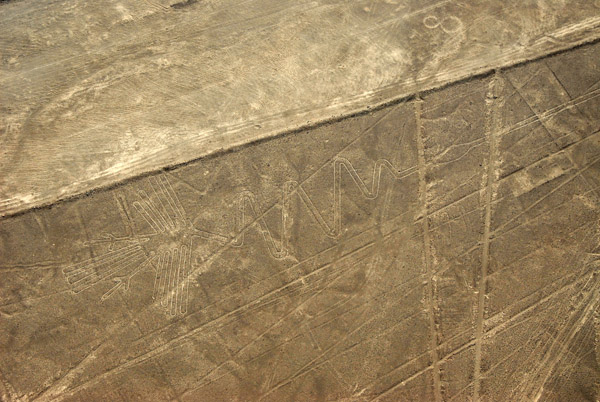 The Heron - Nazca Lines