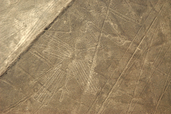 The Heron - Nazca Lines