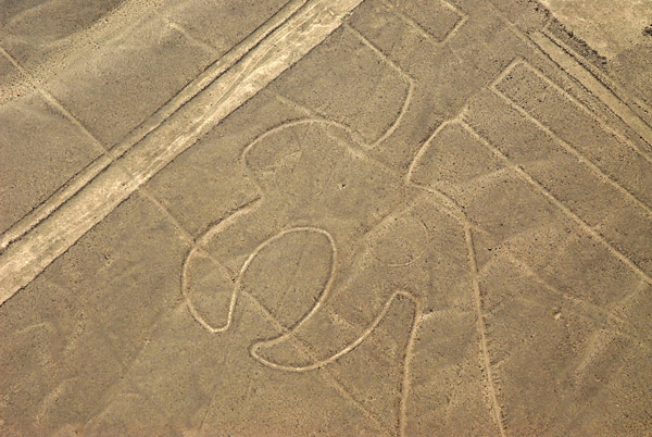 The Parrot - Nazca Lines