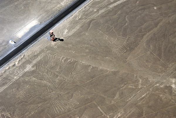 The Tree - Nazca Lines