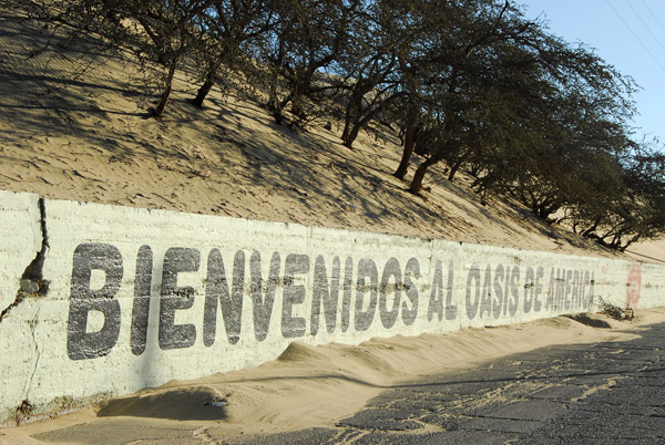 Bienvenidos al Oasis de America, Huacachina