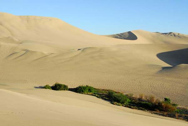 A small patch of green away from the main lagoon, Huacachina