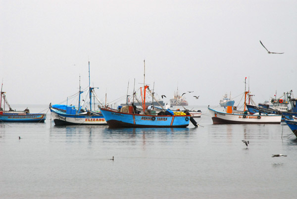 Paracas Harbor
