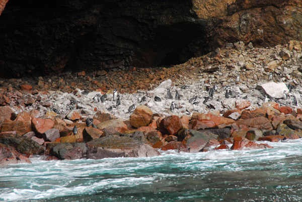 Penguins in front of a sea cave, Islas Ballestas
