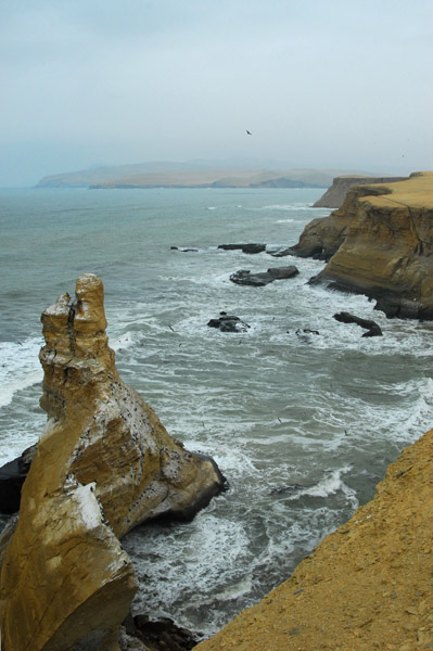 Reserva Nacional de Paracas