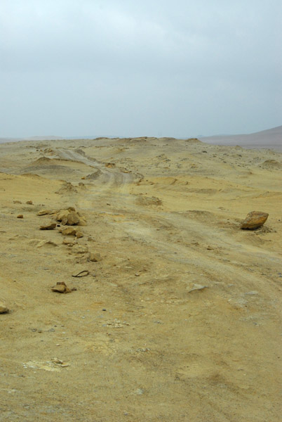 Rugged track, Paracas National Reserve