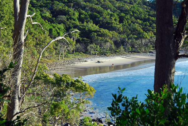 Beach along the Coastal Track, Noosa National Park