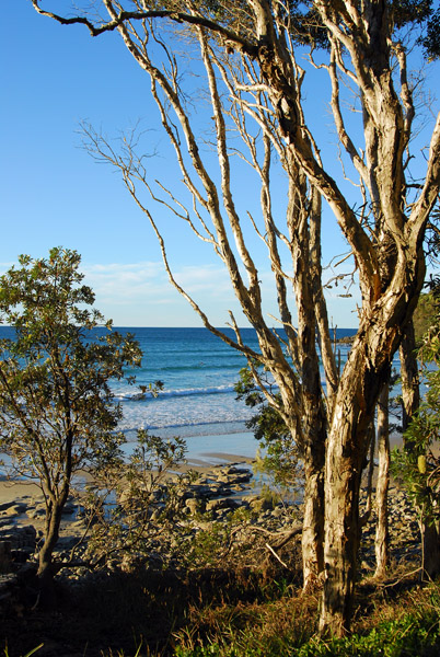 Coastal Track, Noosa National Park