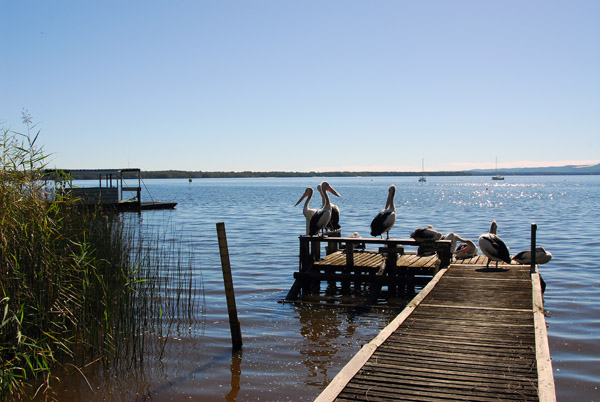 Lake Cootharaba, Boreen Point