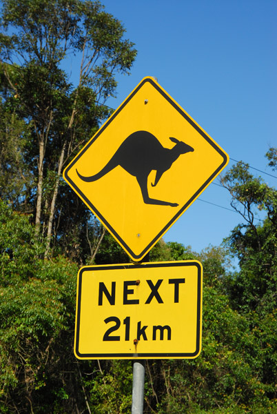 Kangaroo Crossing, Queensland